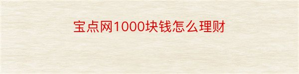 宝点网1000块钱怎么理财